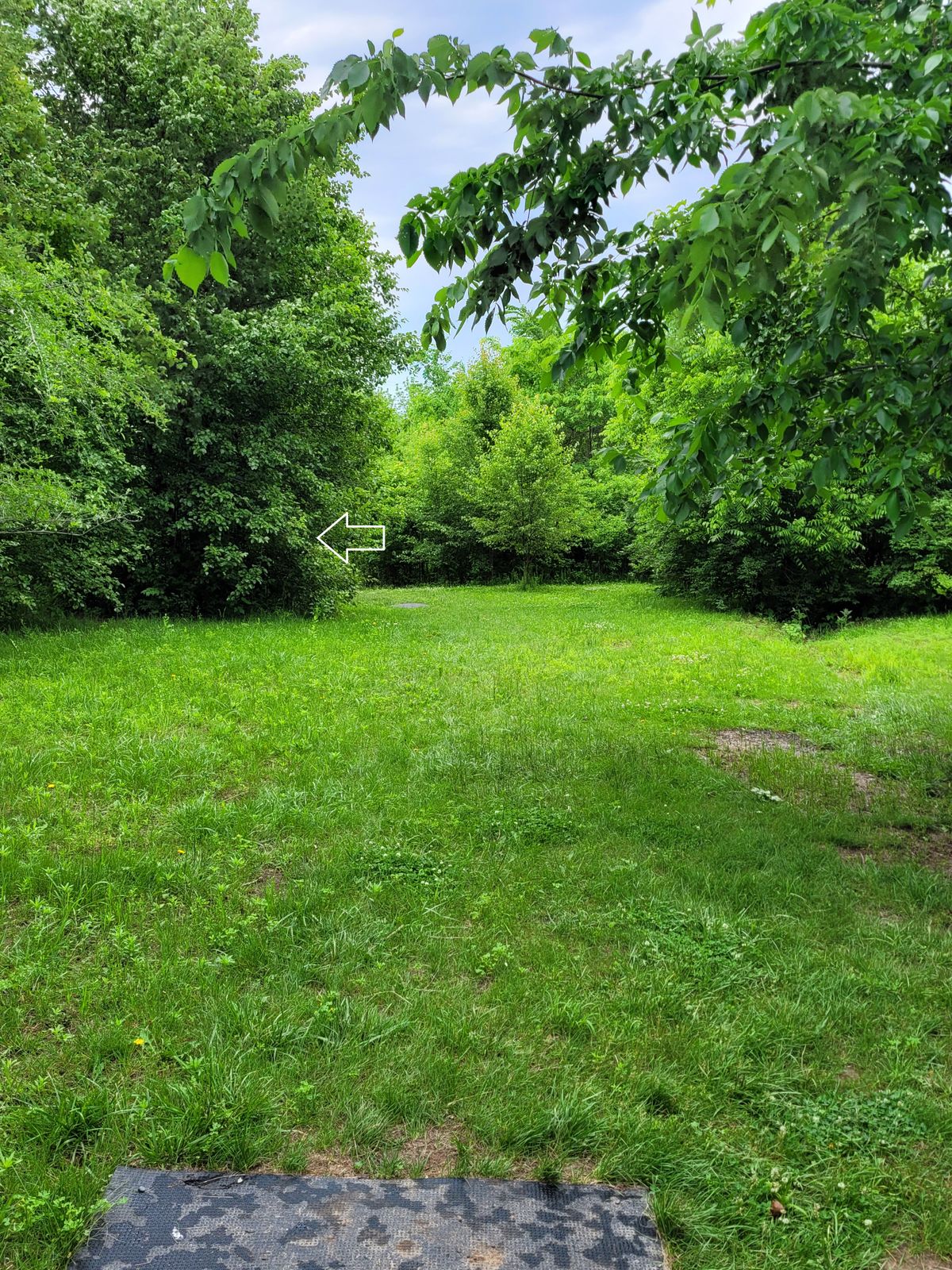 Hole 13 tee