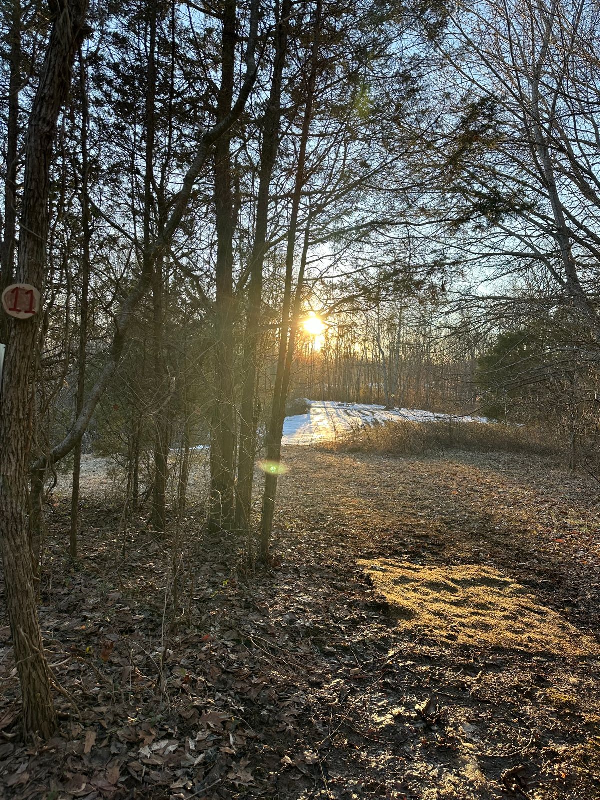 Hole 11 tee pad