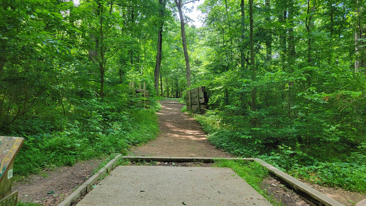 Hole 5 B Pin