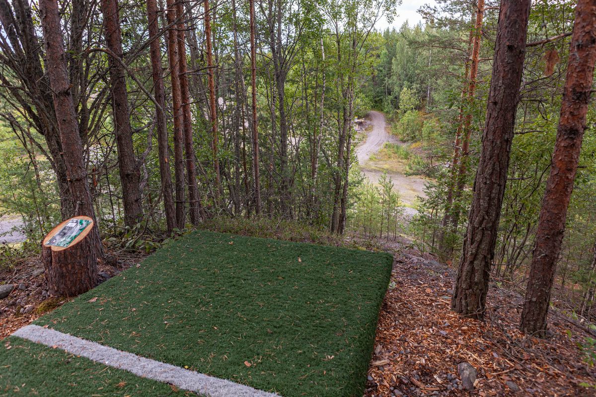 Tee #2 and raised basket.