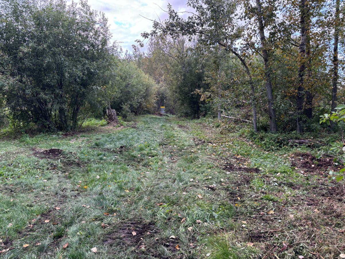 Hole 9 Approach