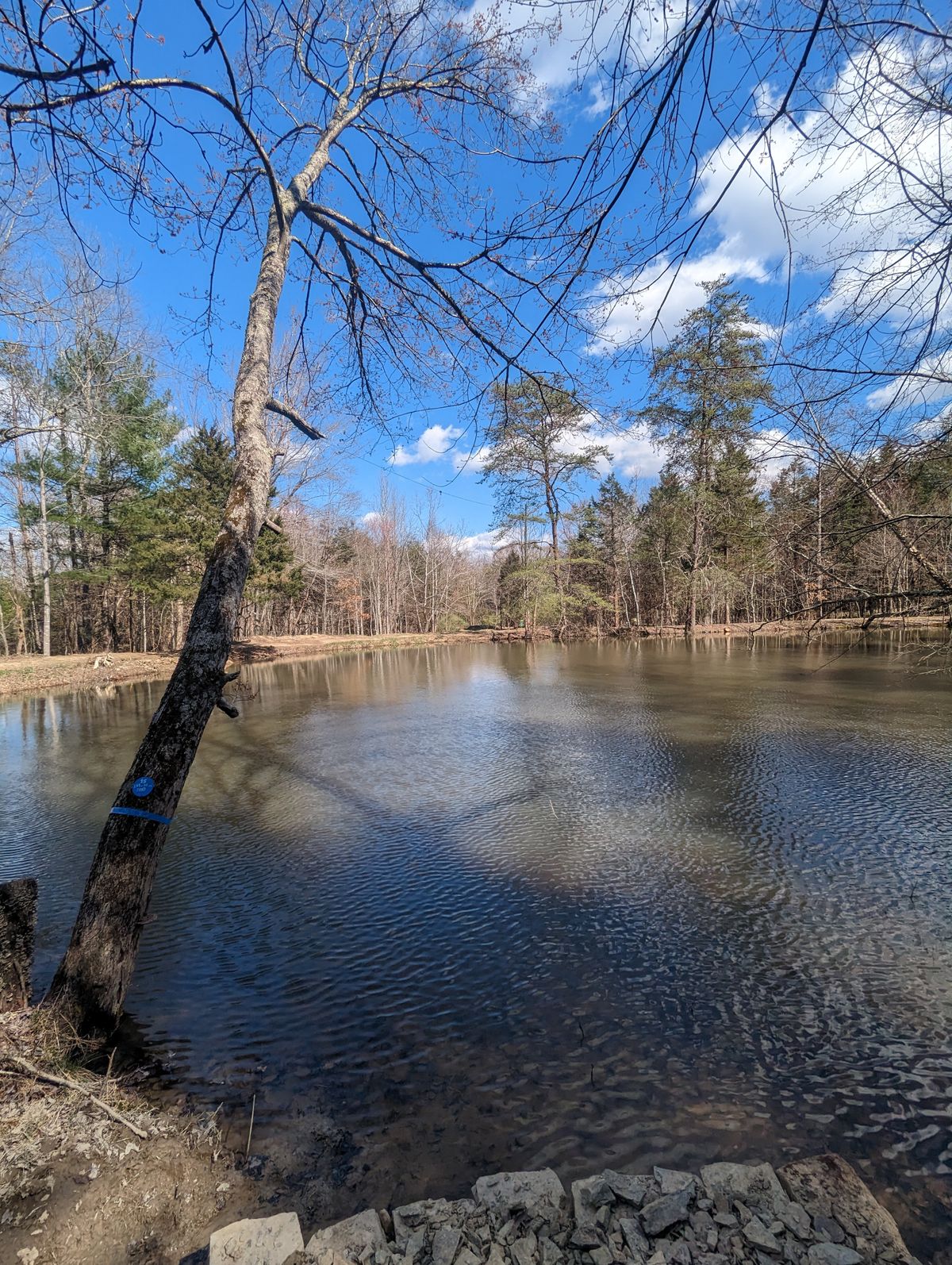 Hole #15
