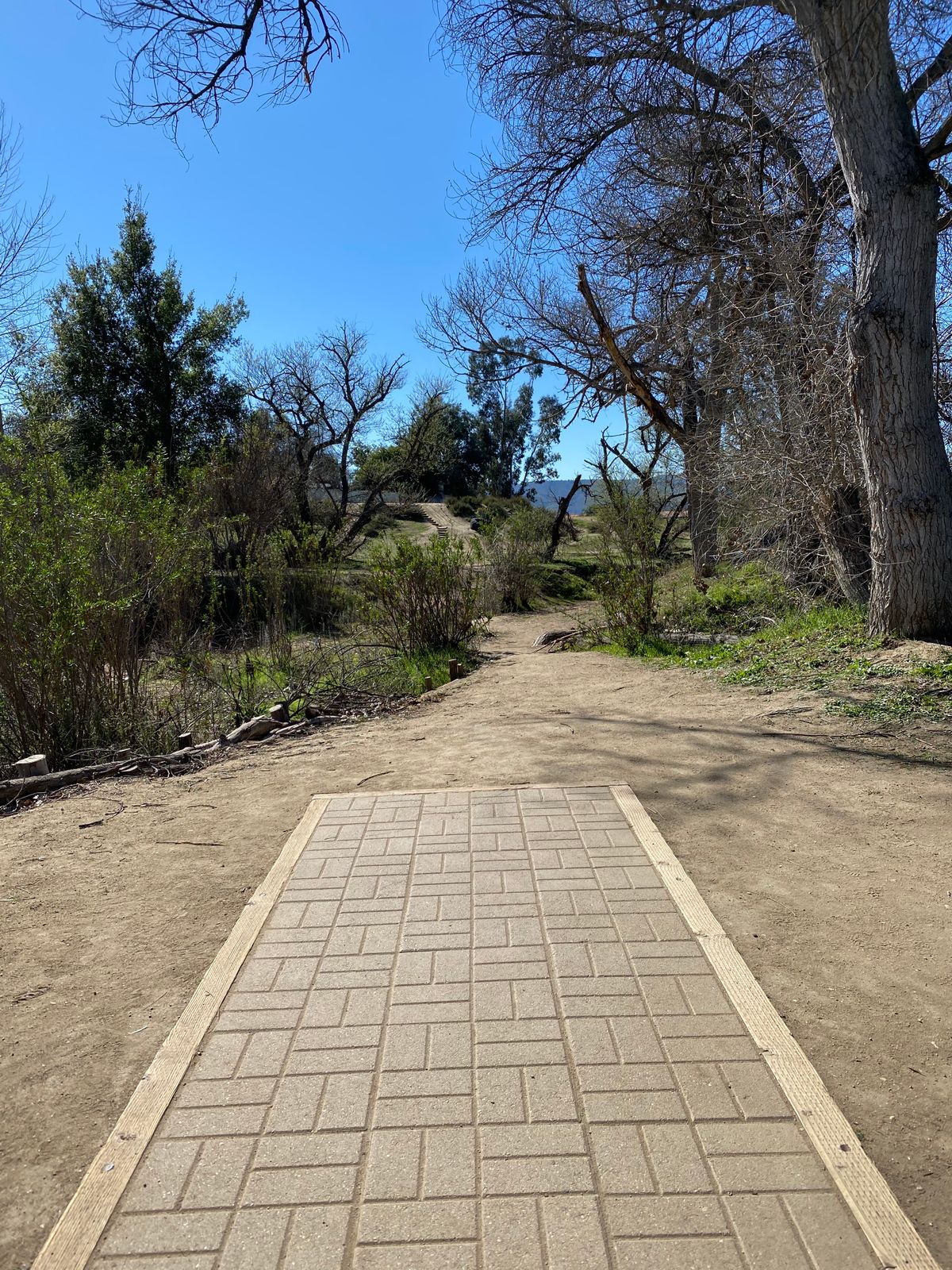 Hole 11