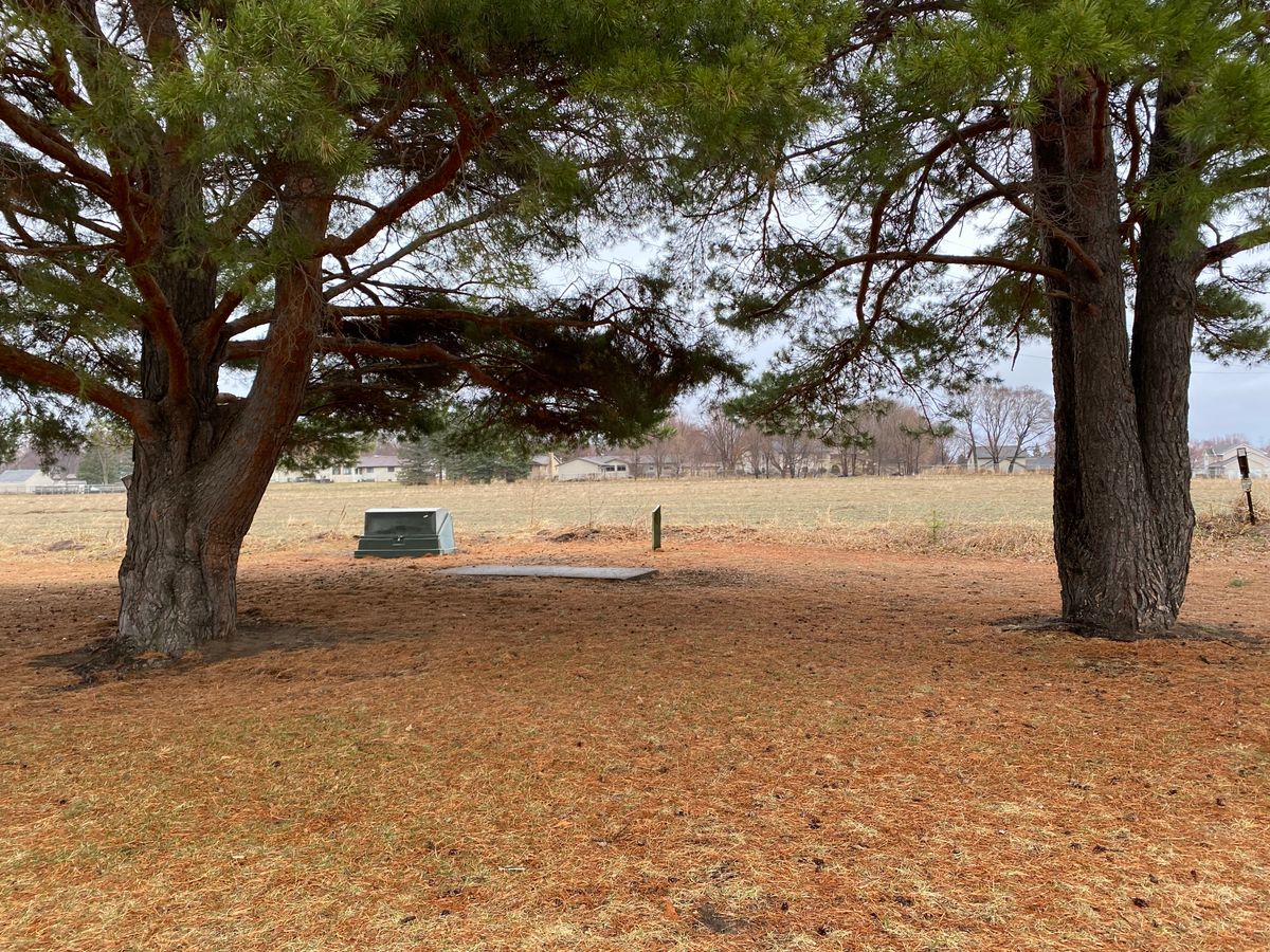 Tee 3