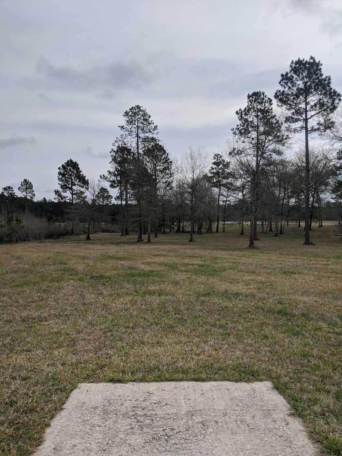 Hole 17 Short Tee