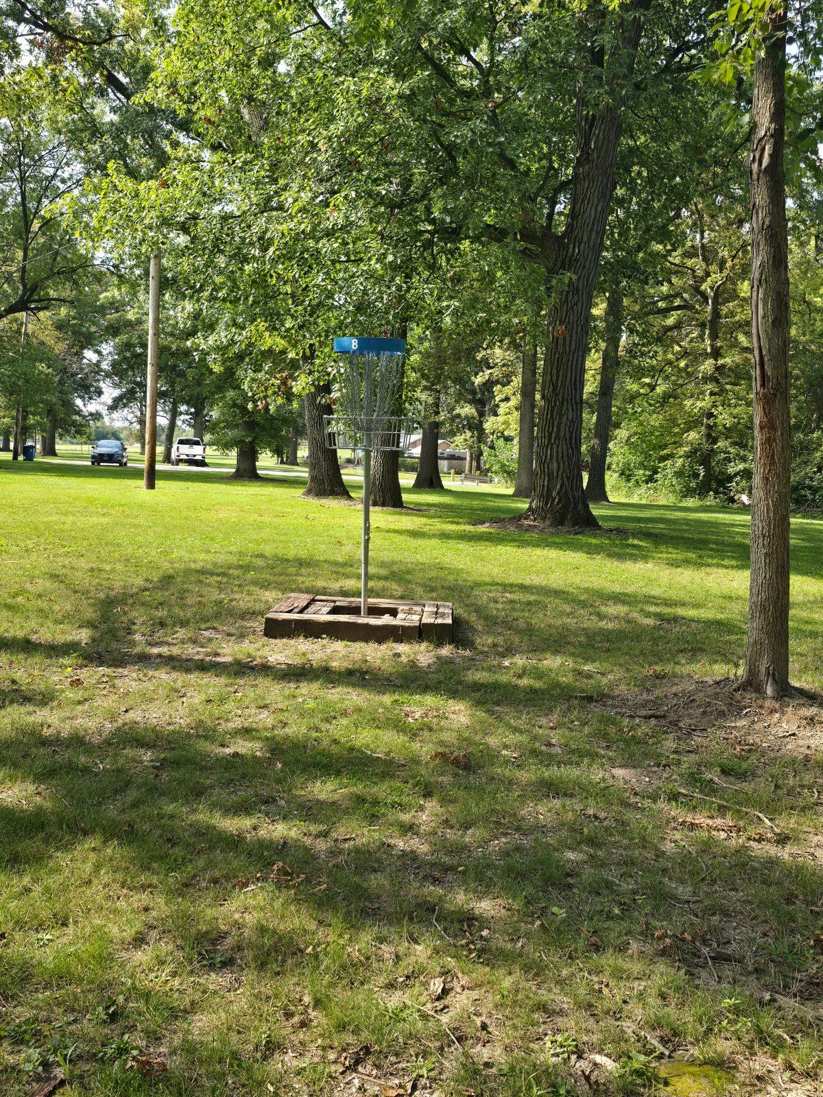 Hole 8 elevated basket