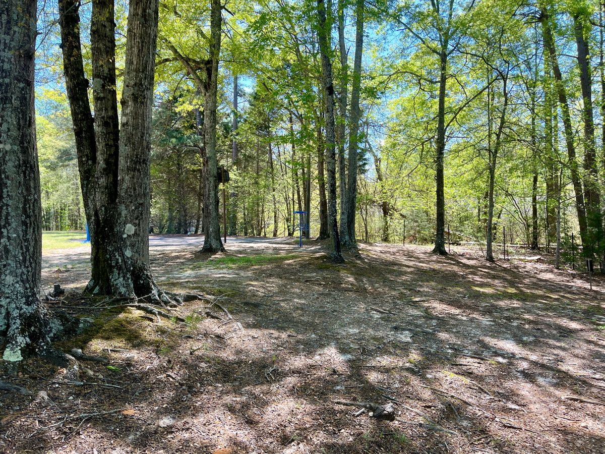 Hole 16 approach