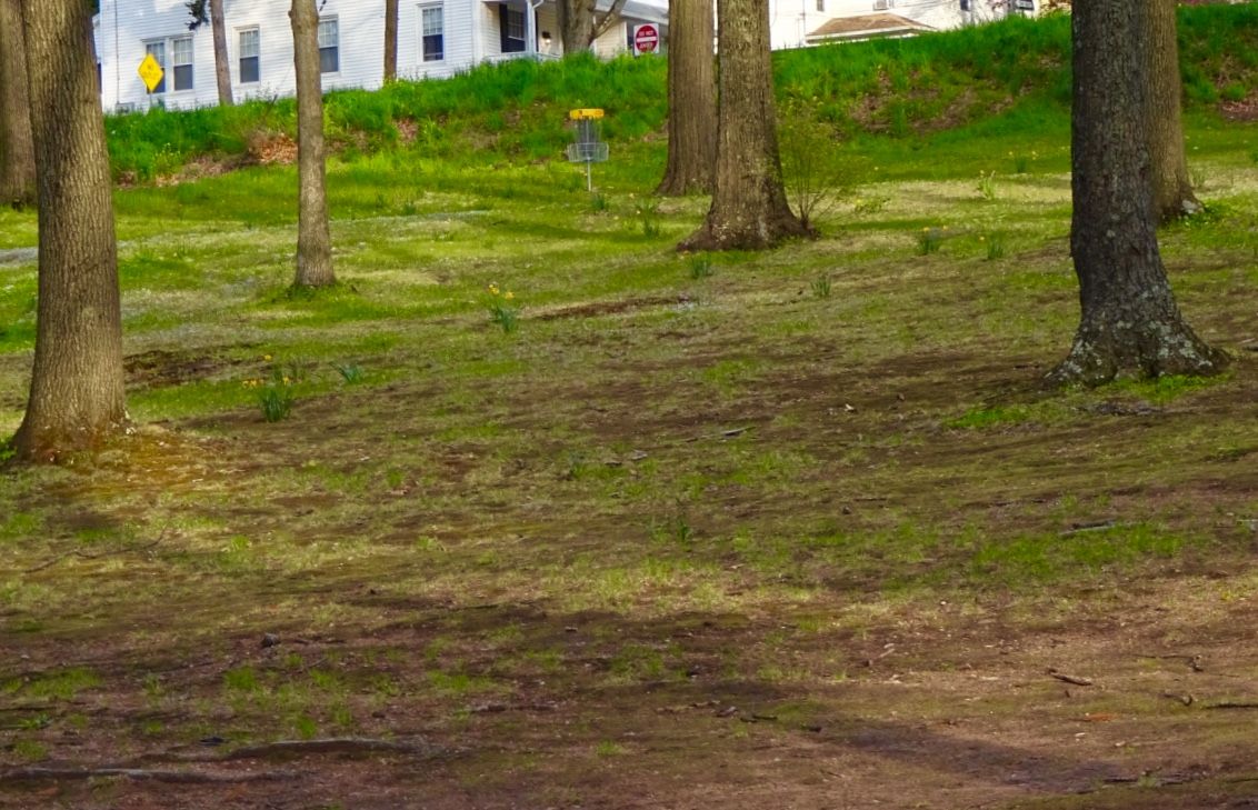 Hole 7B basket from the fairway