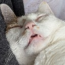 User avatar image