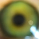 User avatar image