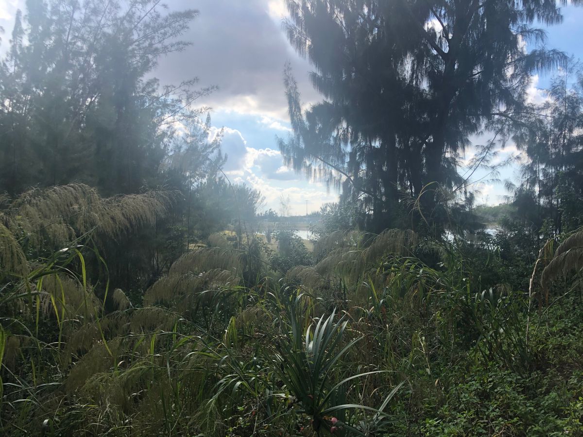 The view from the tee box on hole 5
