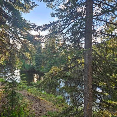 The Willow river.