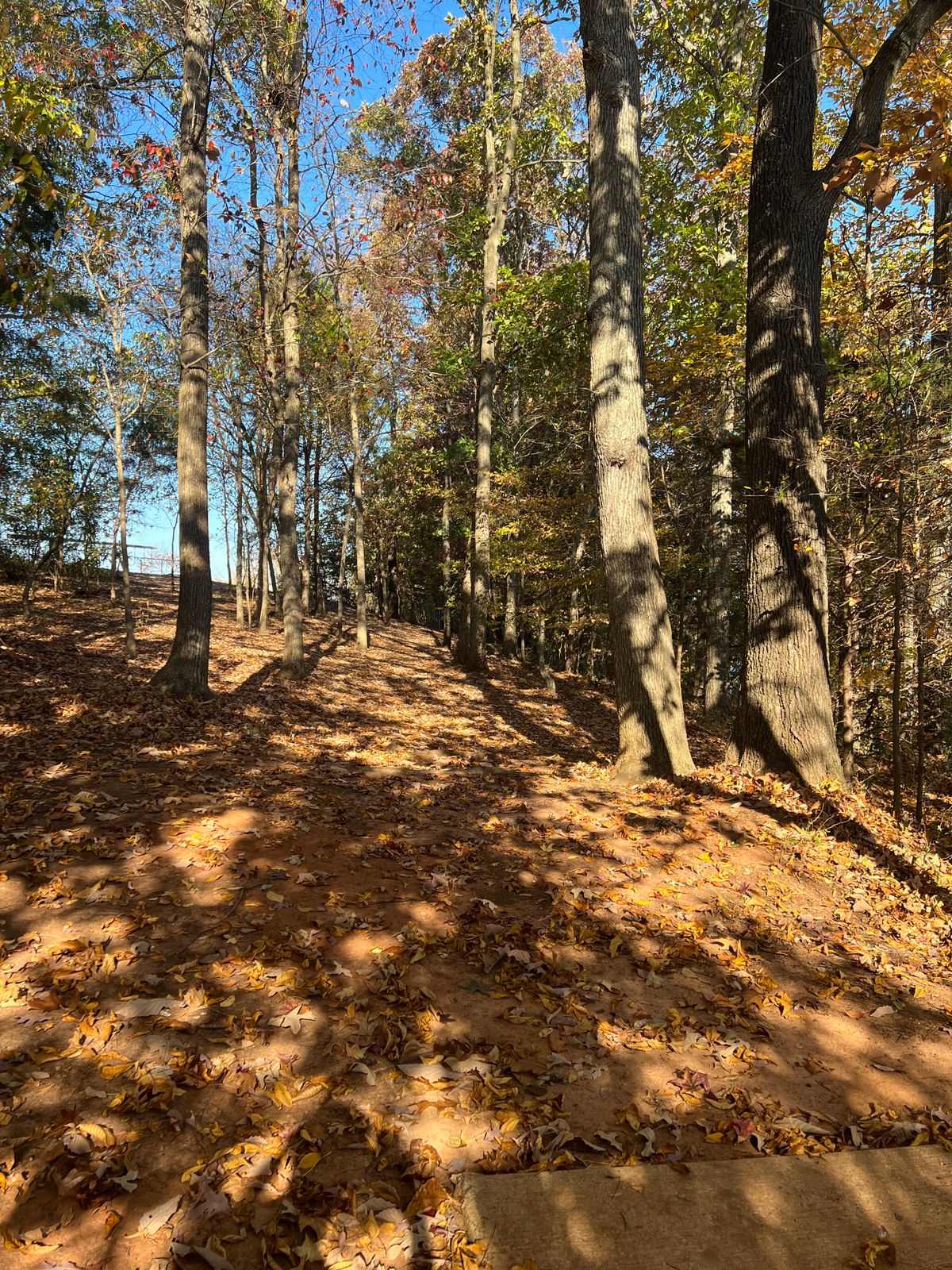 Hole 14