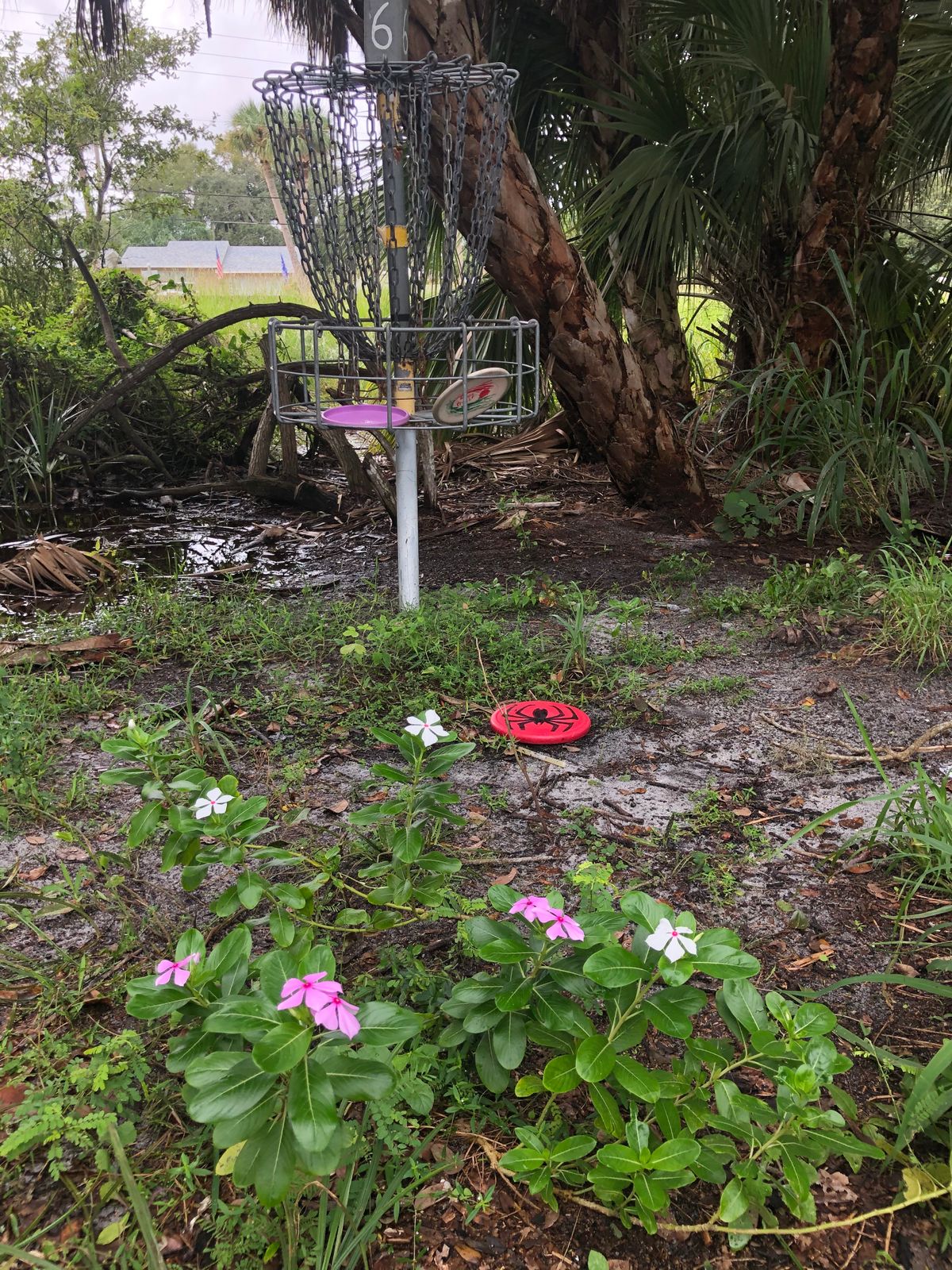 Hole 6