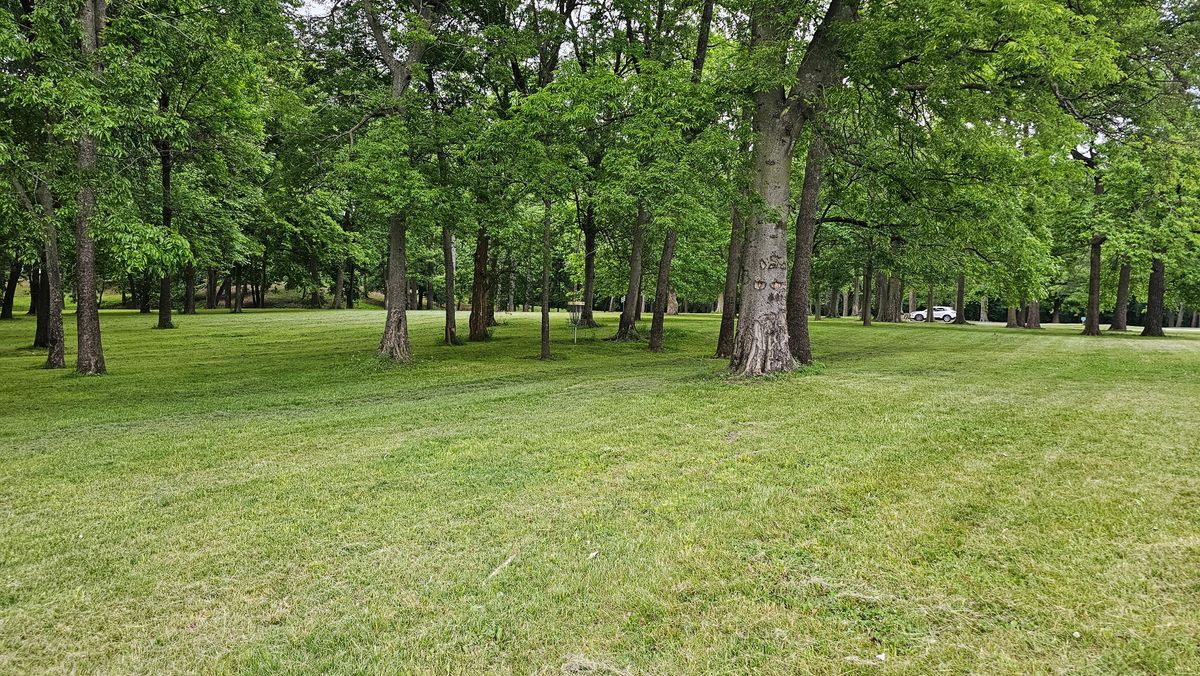 Hole 10 basket