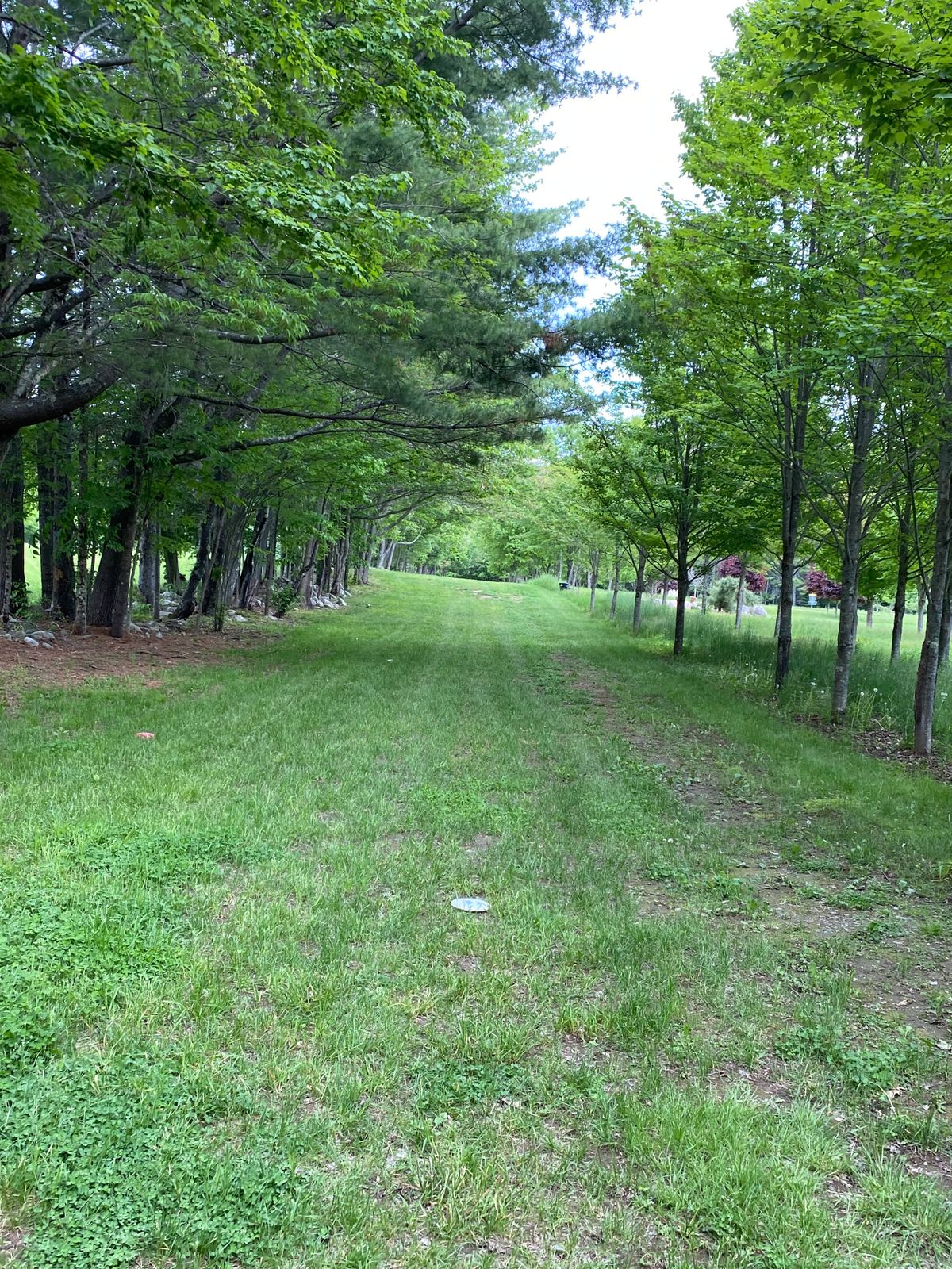 Long par 5, almost 800 feet!