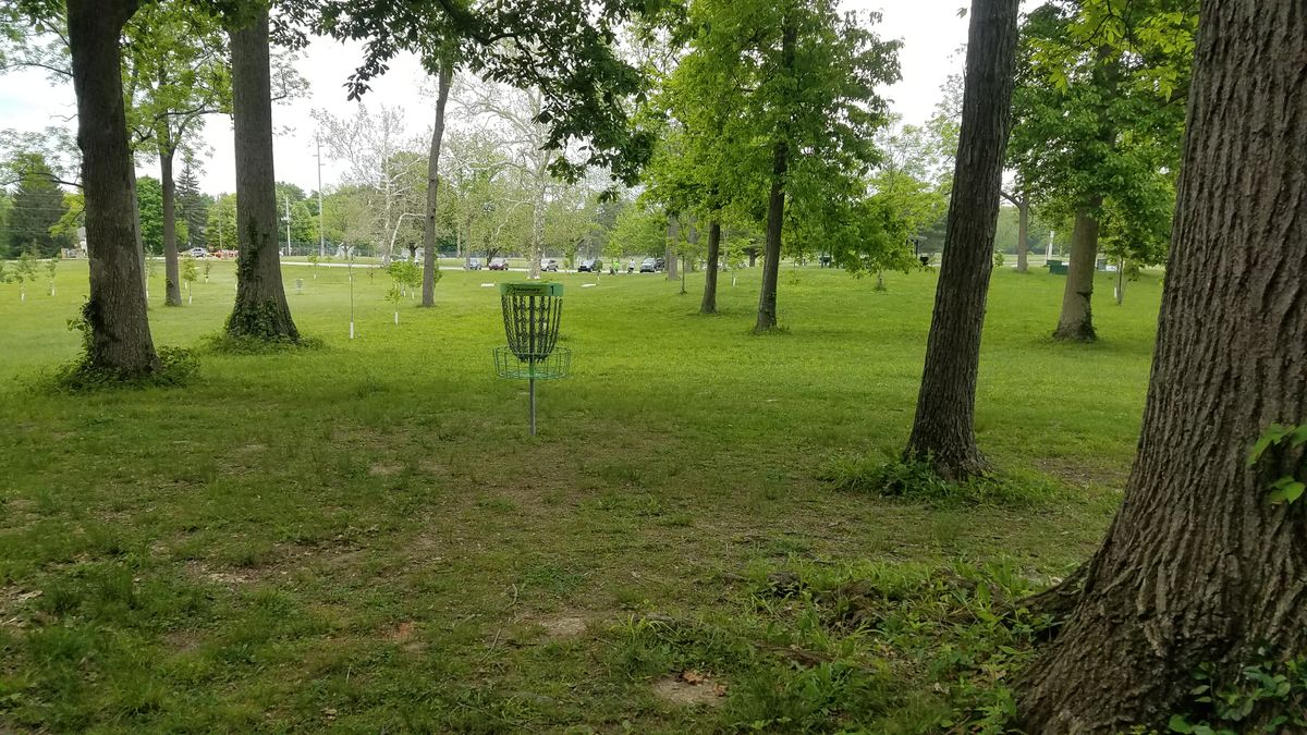 Looking back to tees from short position
