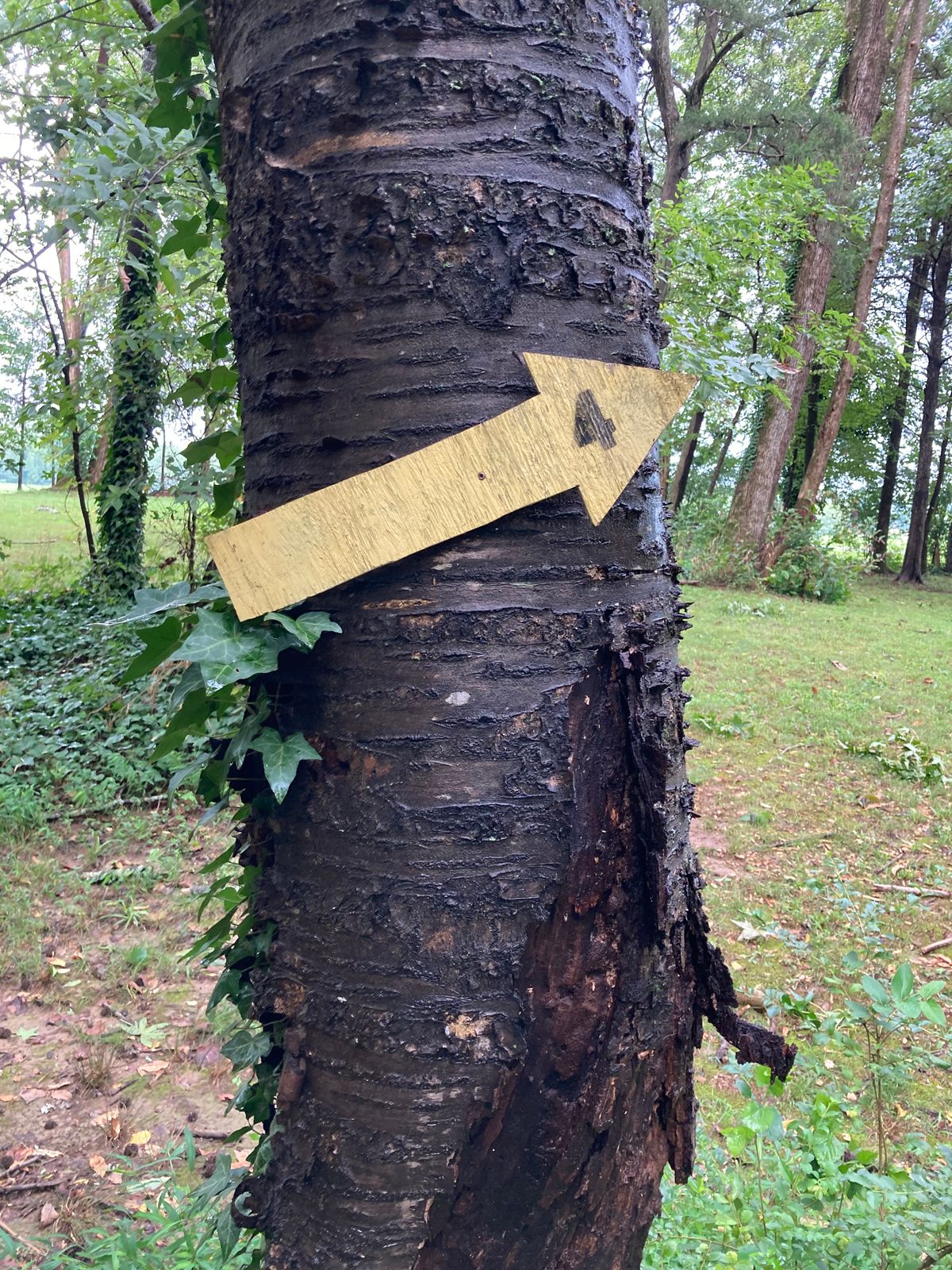 Tee markers are well placed