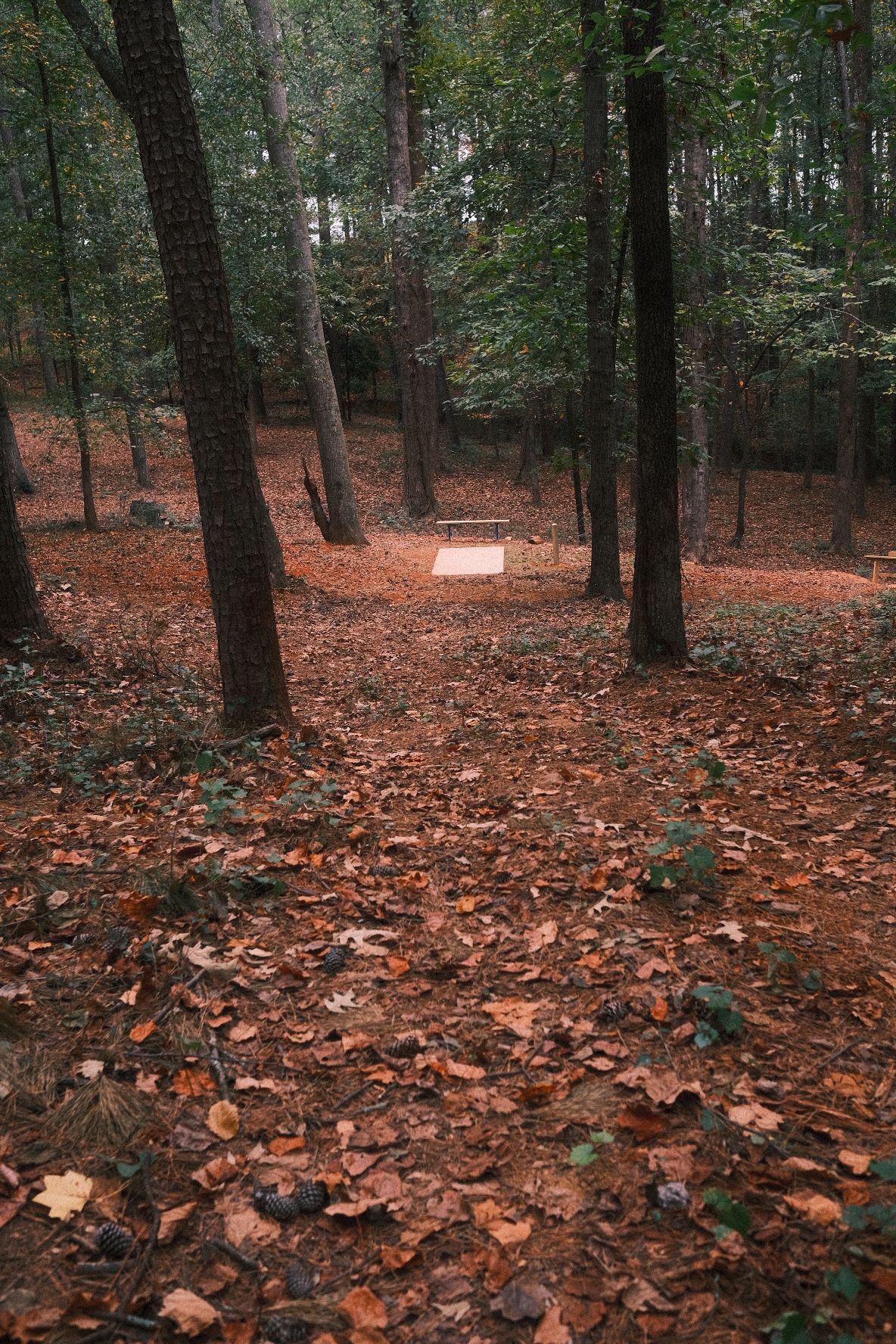 #4 fairway looking at tee