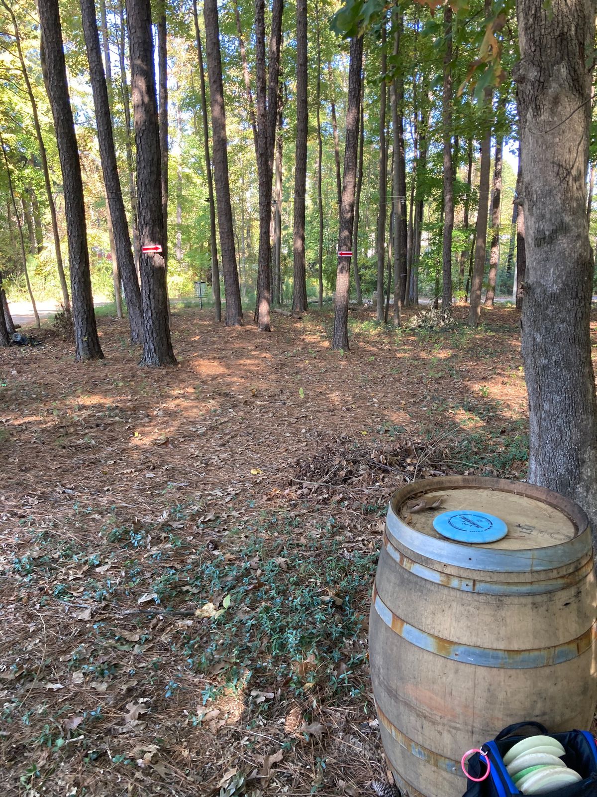 Barrels of fun! Tee markers.
