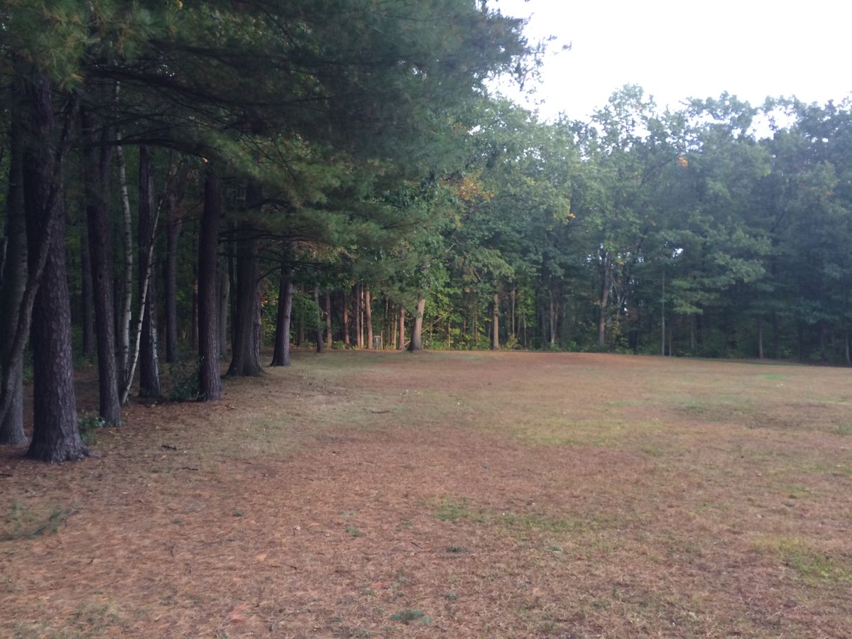 Hole 8