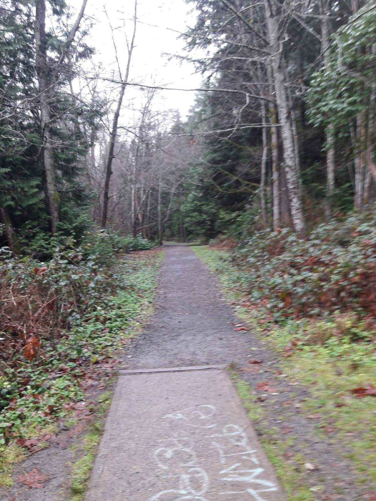 This one is tight, right down the path