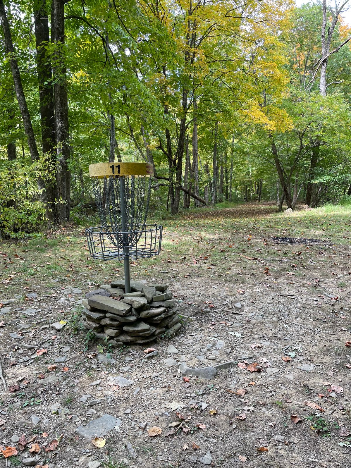 Basket 11 looking back at teepad