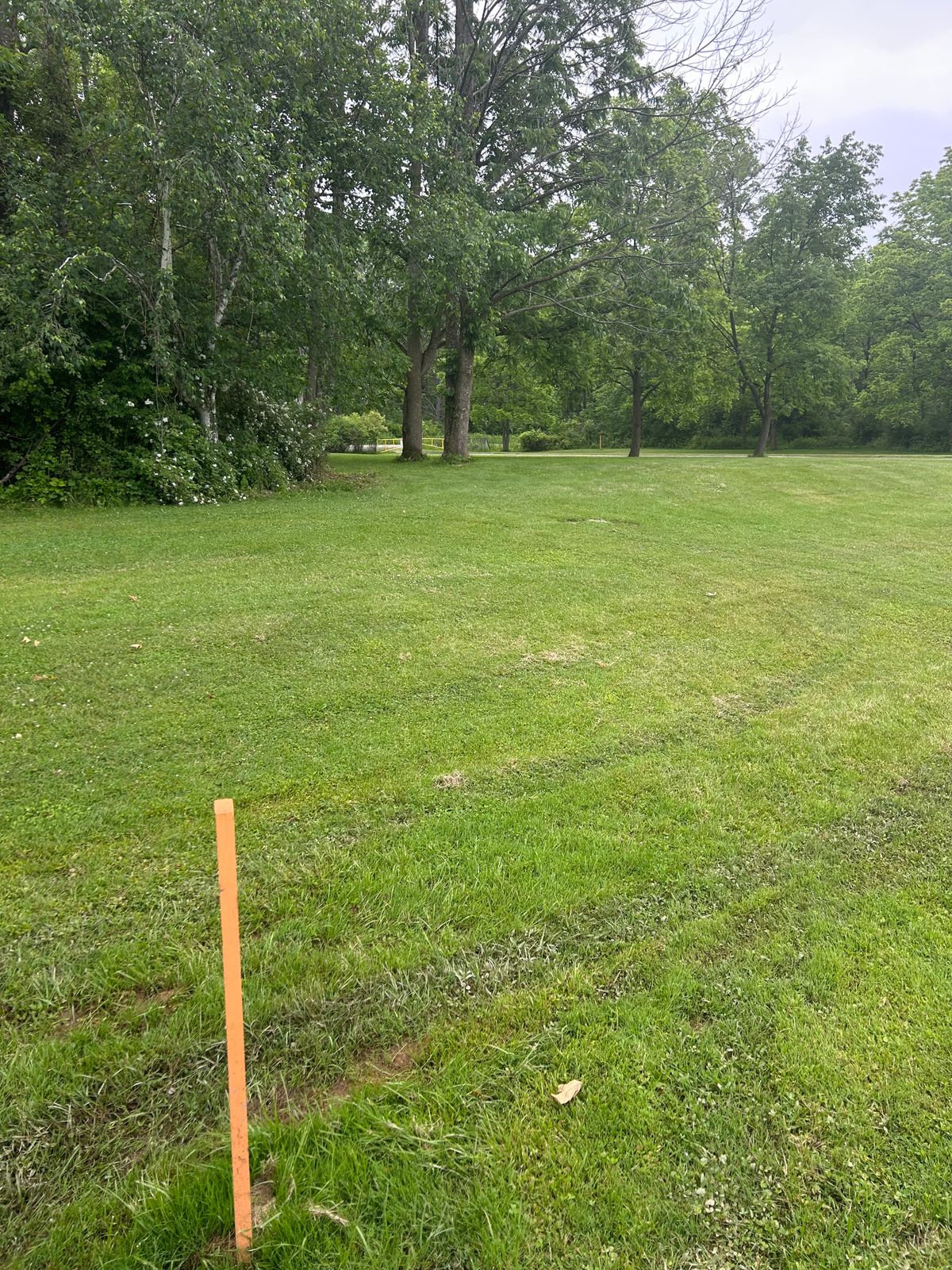 Hole 12 tee.  Another blind shot, basket is behind the 2 trees in the center and back to the left.