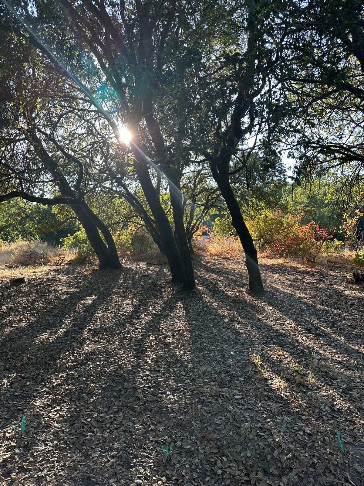 Hole 16