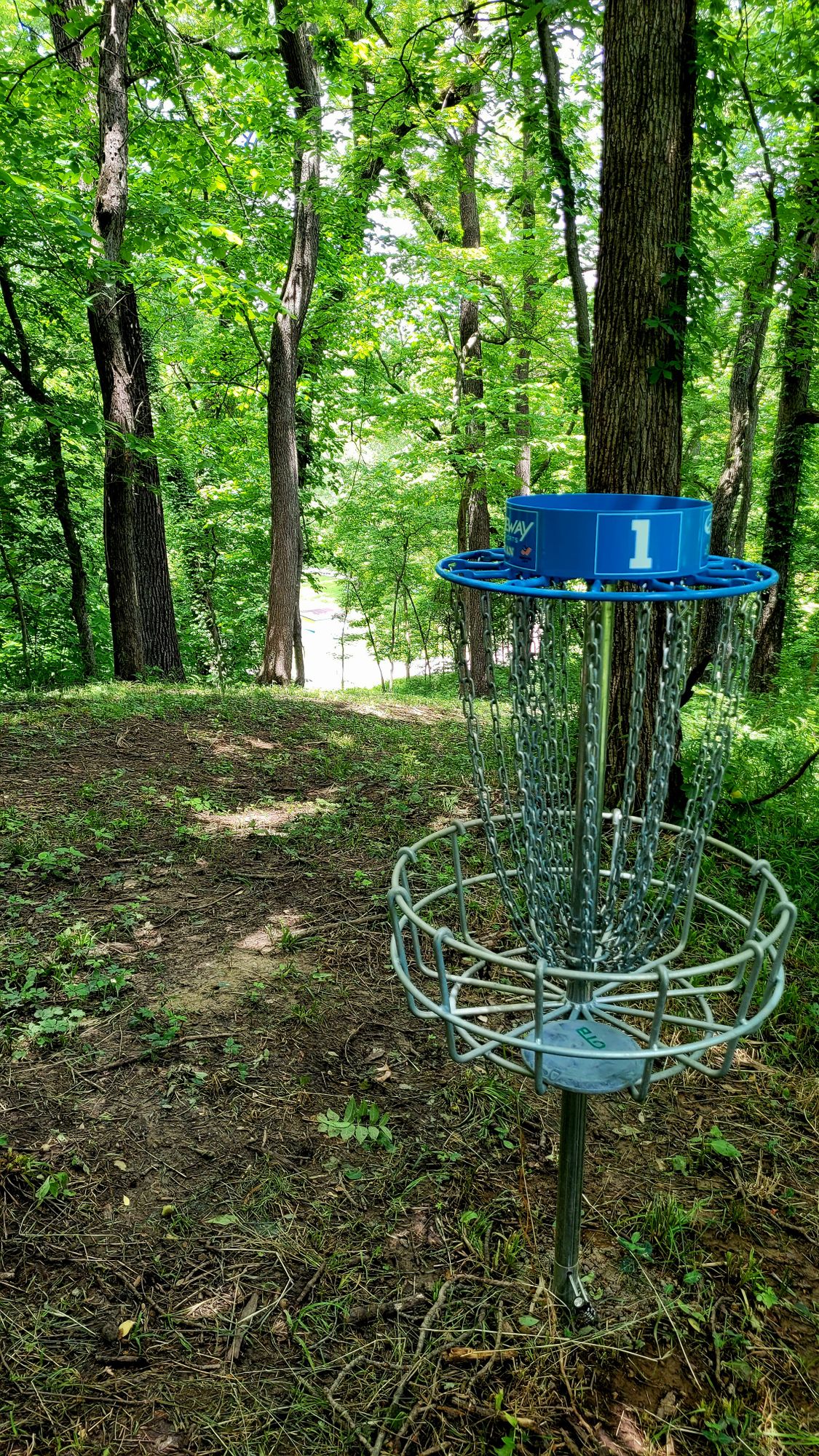 Hole 1
Basket to Tee
