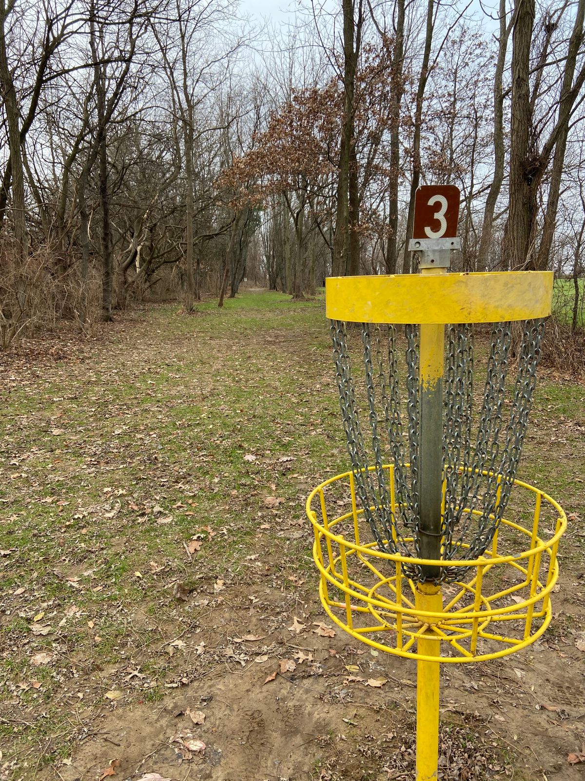 Hole three looking towards the tee pad from the basket