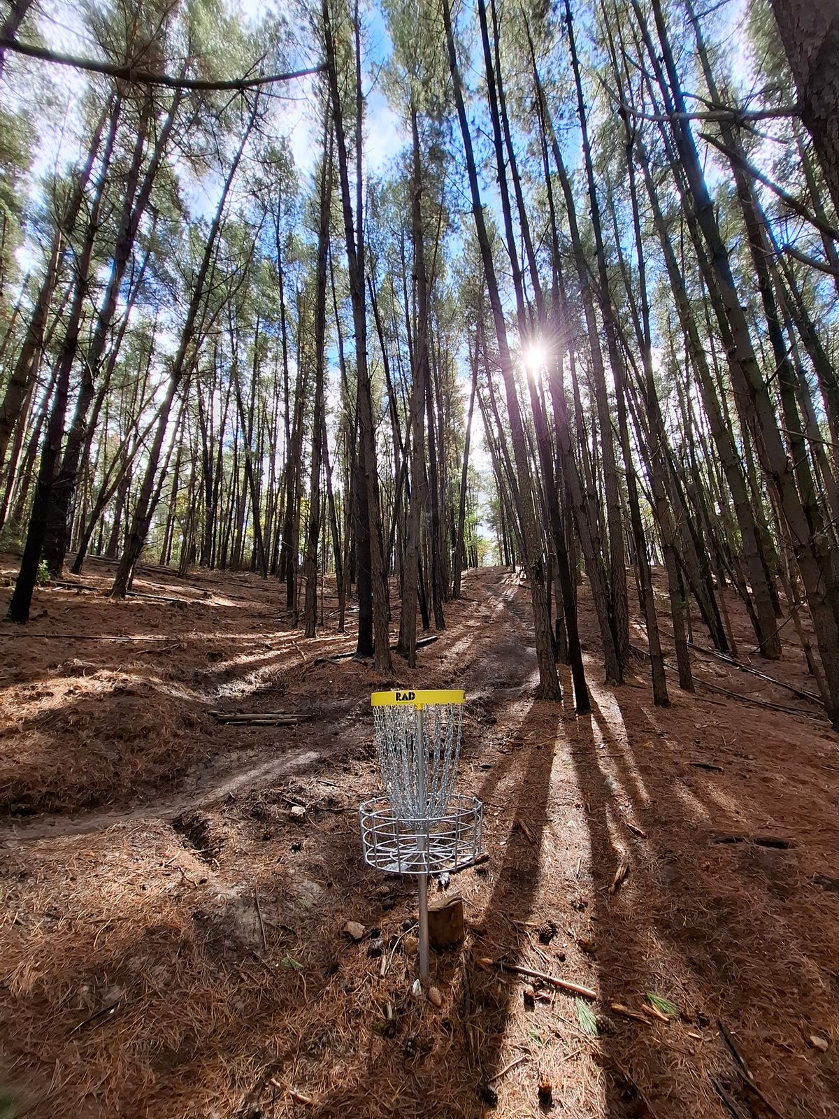 Best course I've played