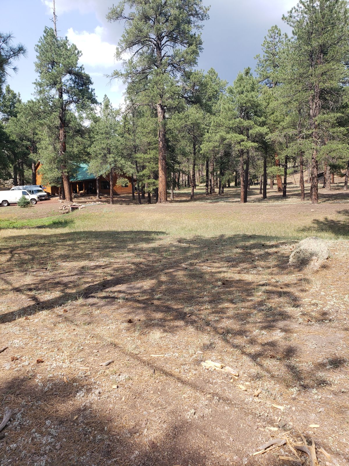 Hole 6 Tee