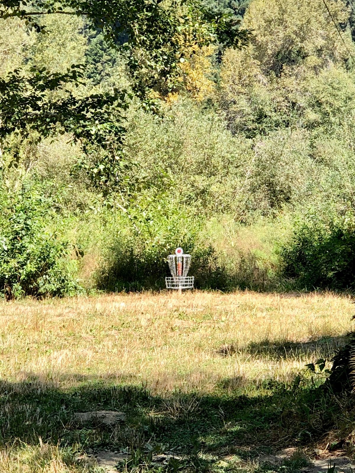 Hole 6 in long