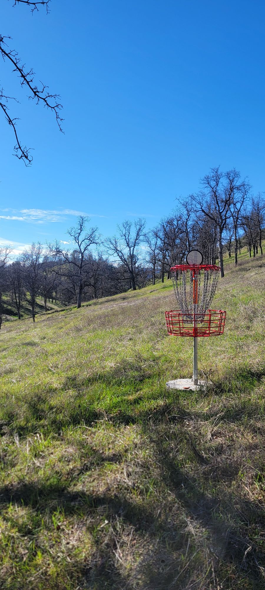 Hole 3 basket