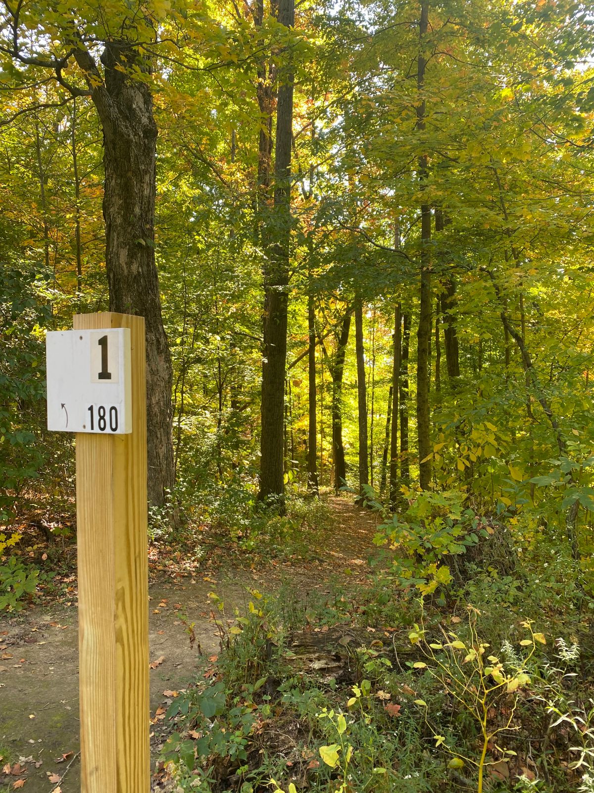 Hole signage, minimal but functional