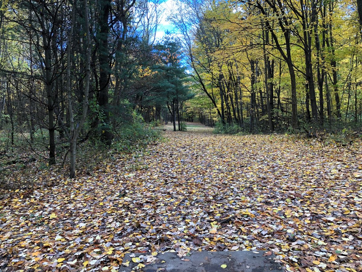 Hole 10 long teepad