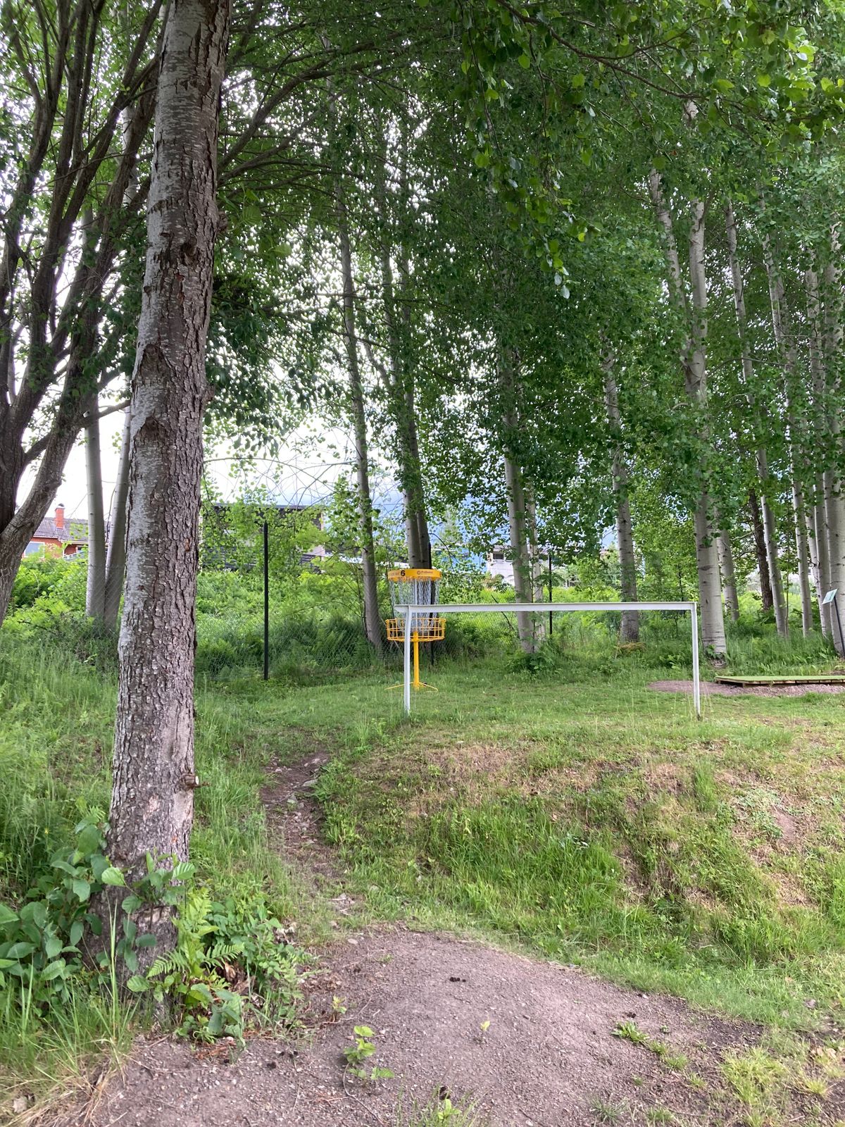 Green hål 6