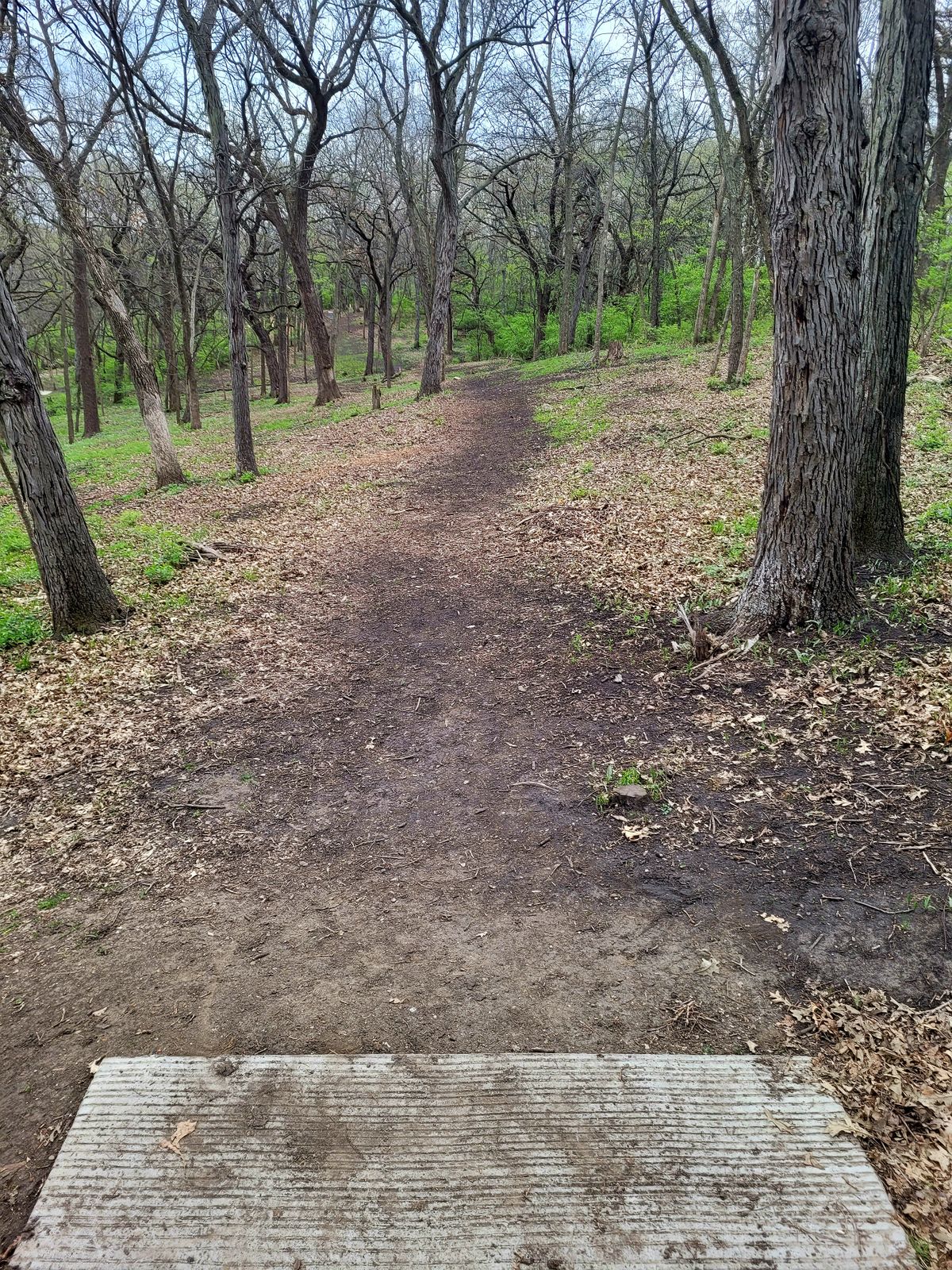 Hole 15 Long Tee