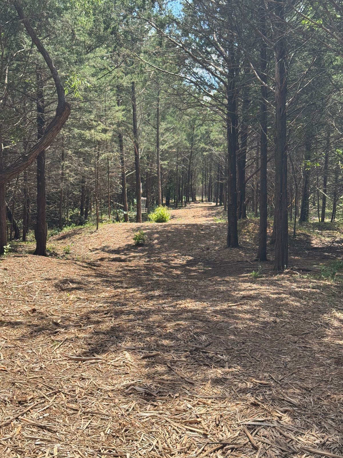 Looking back up #16 fairway to tee.