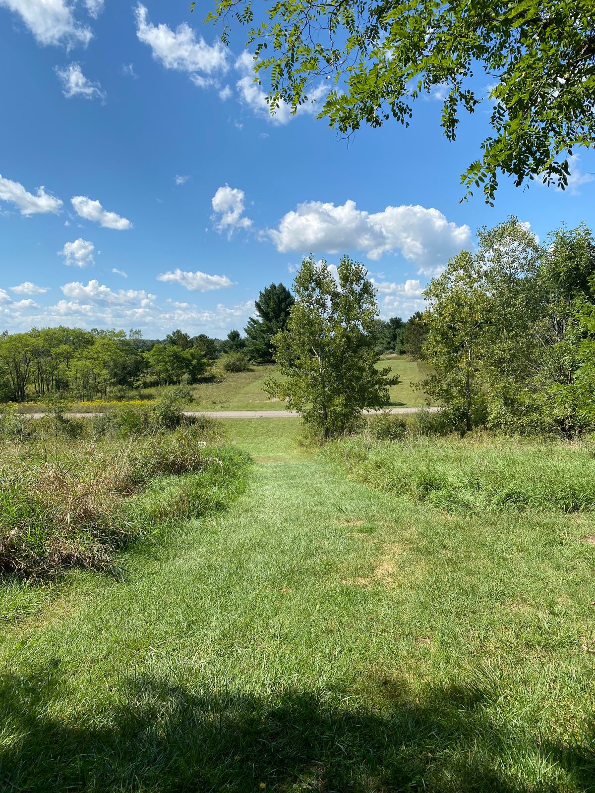 Hole #18 standing at tee.