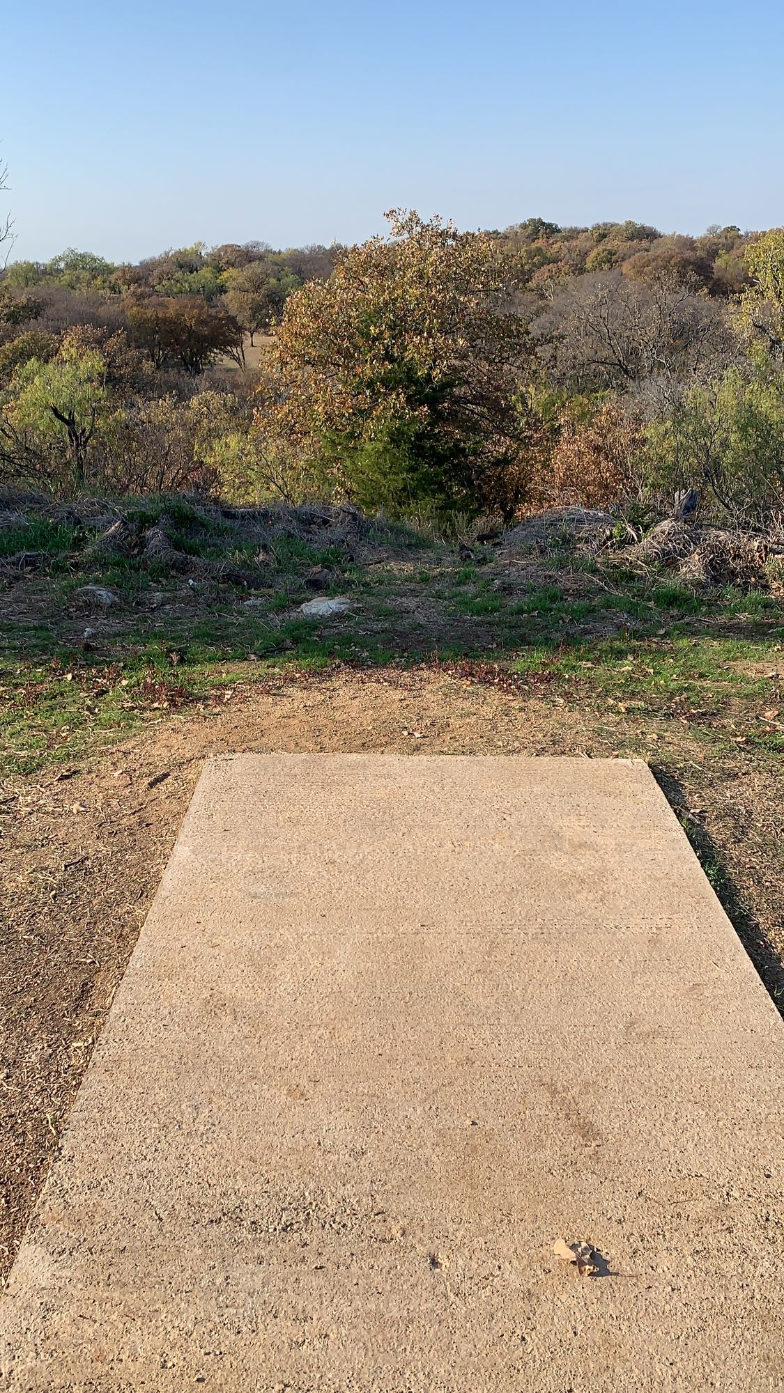 Champion layout Hole #8