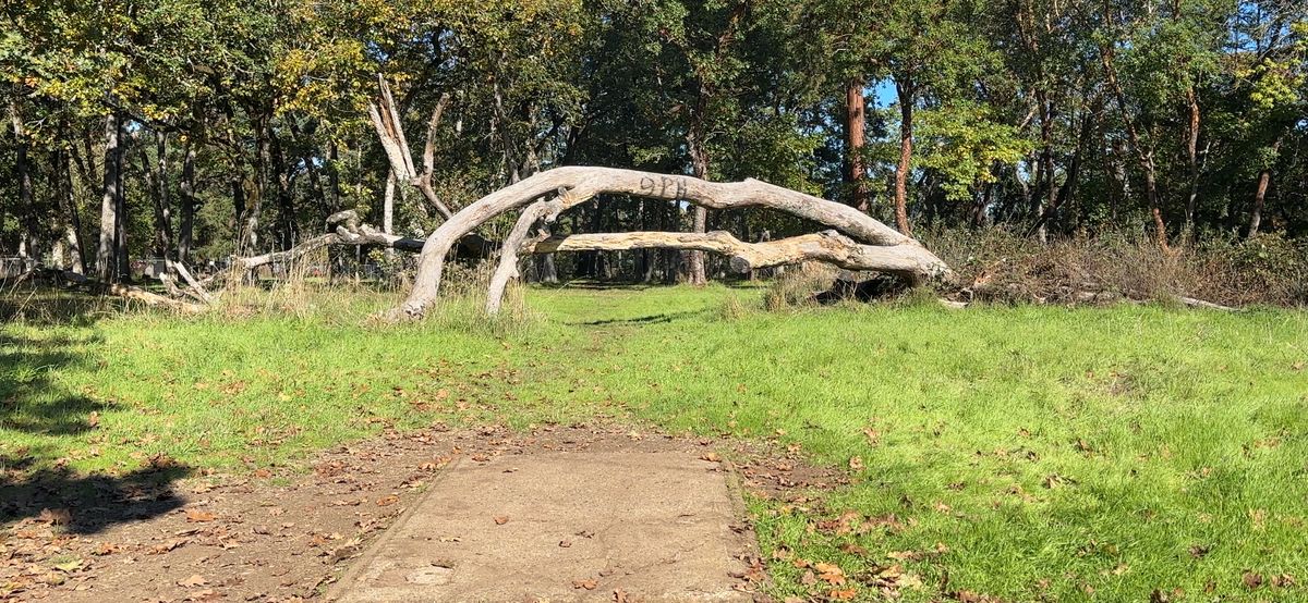 Hole 12
