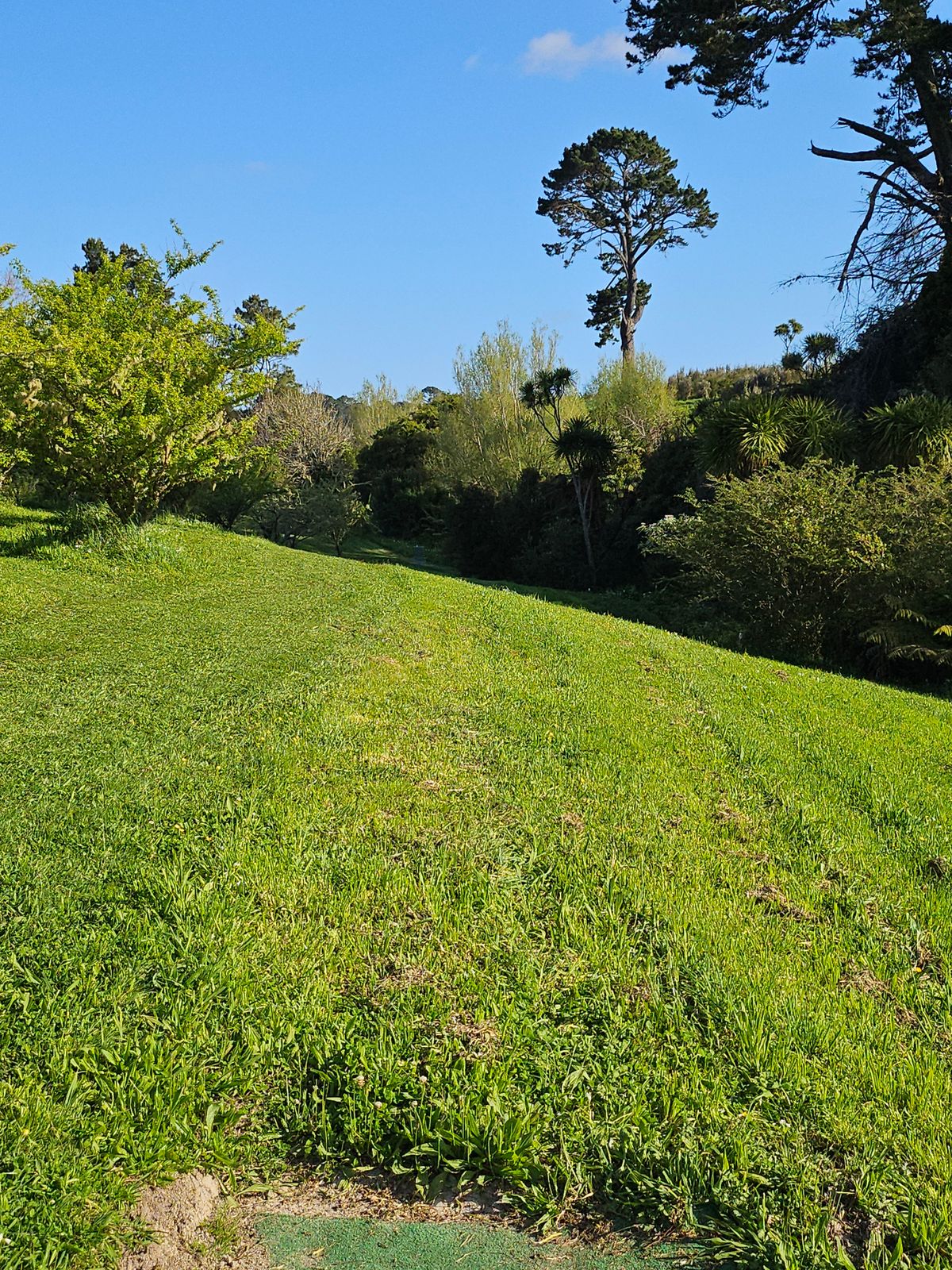 Hole 8 viewed from the short tee