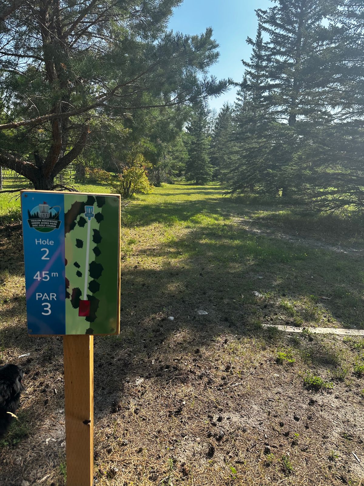 Hole 2