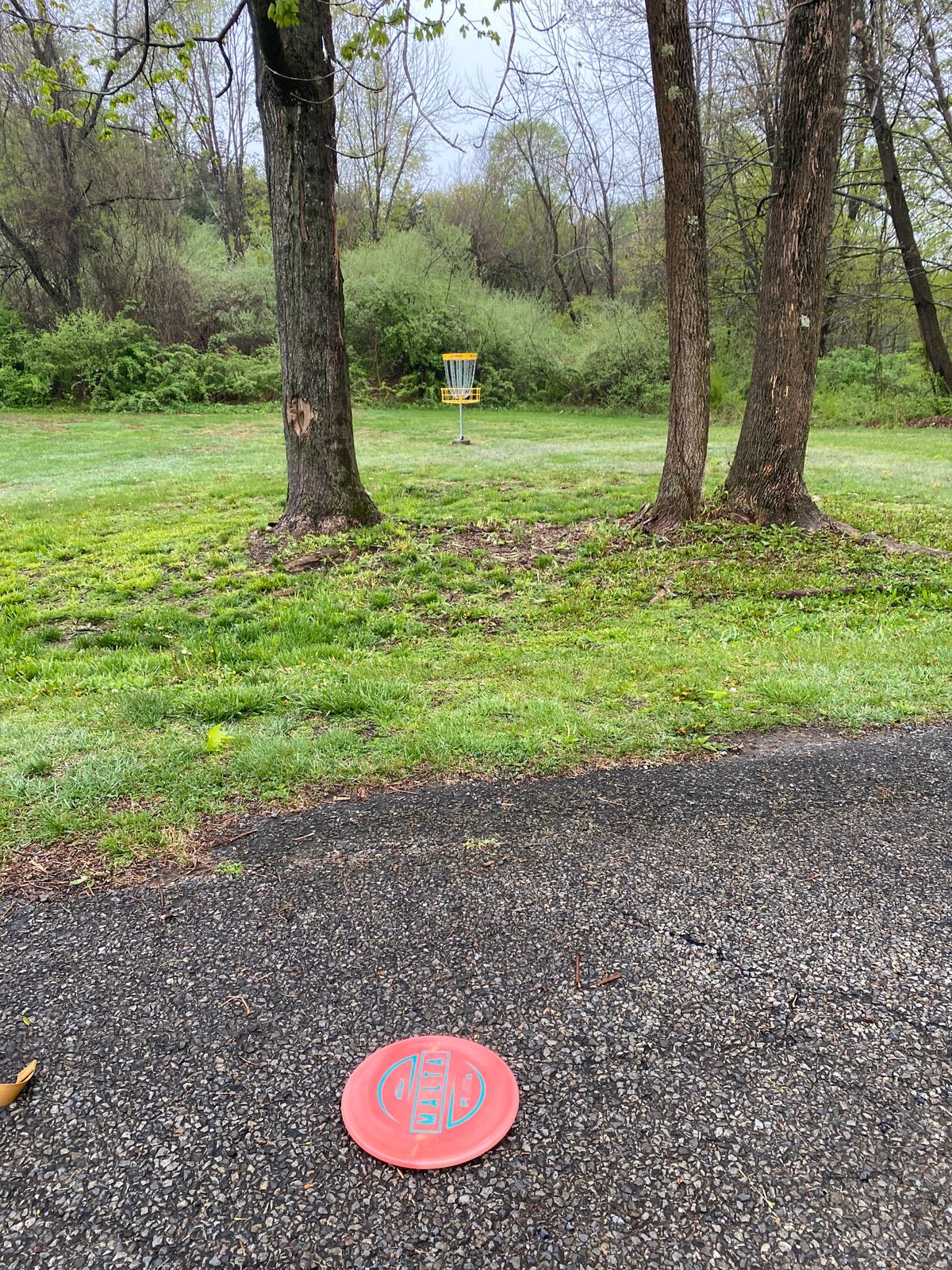 Over 500 feet of open space and still have to putt through trees
