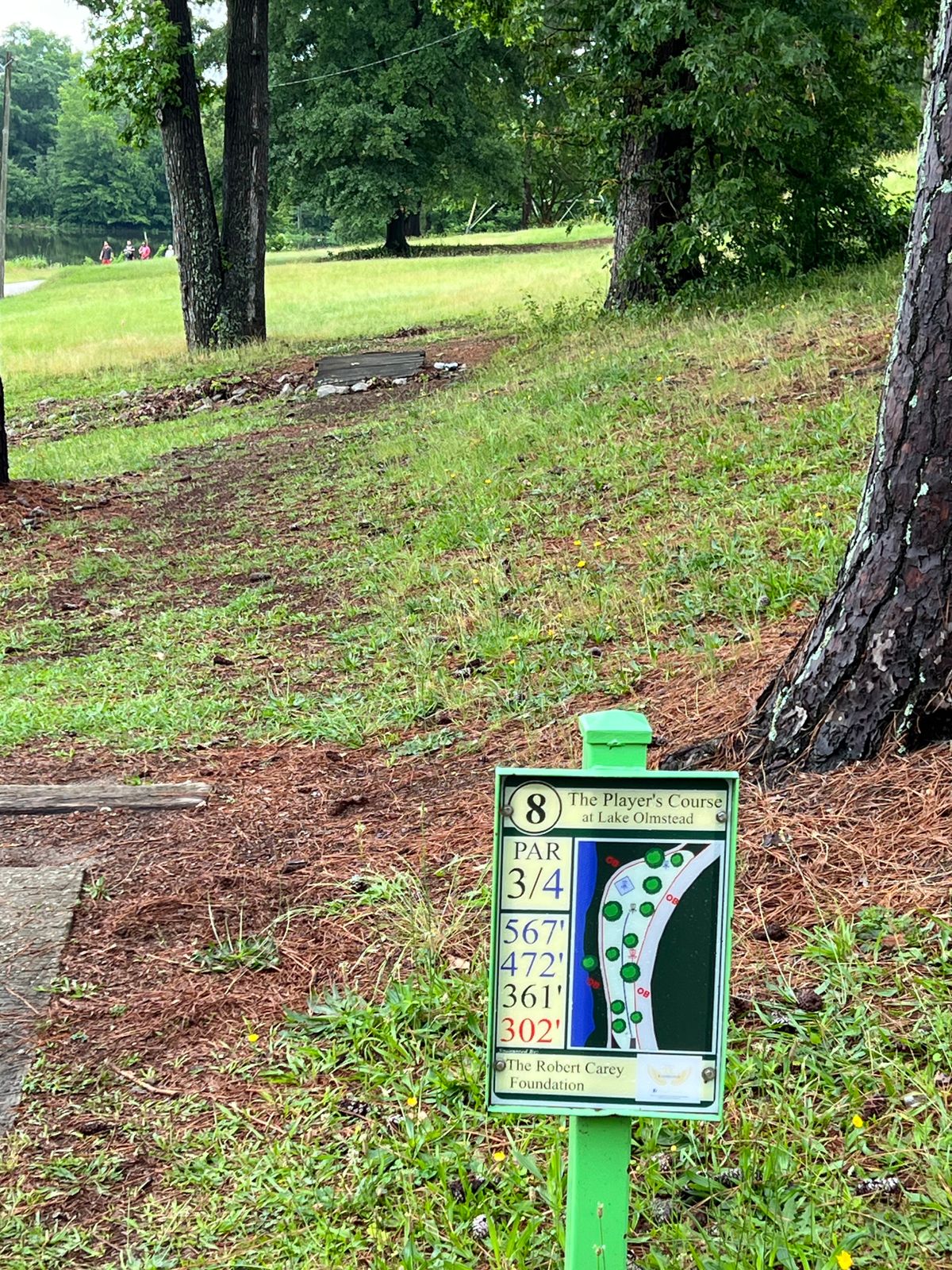 Hole has short red and long yellow basket with one tee. 