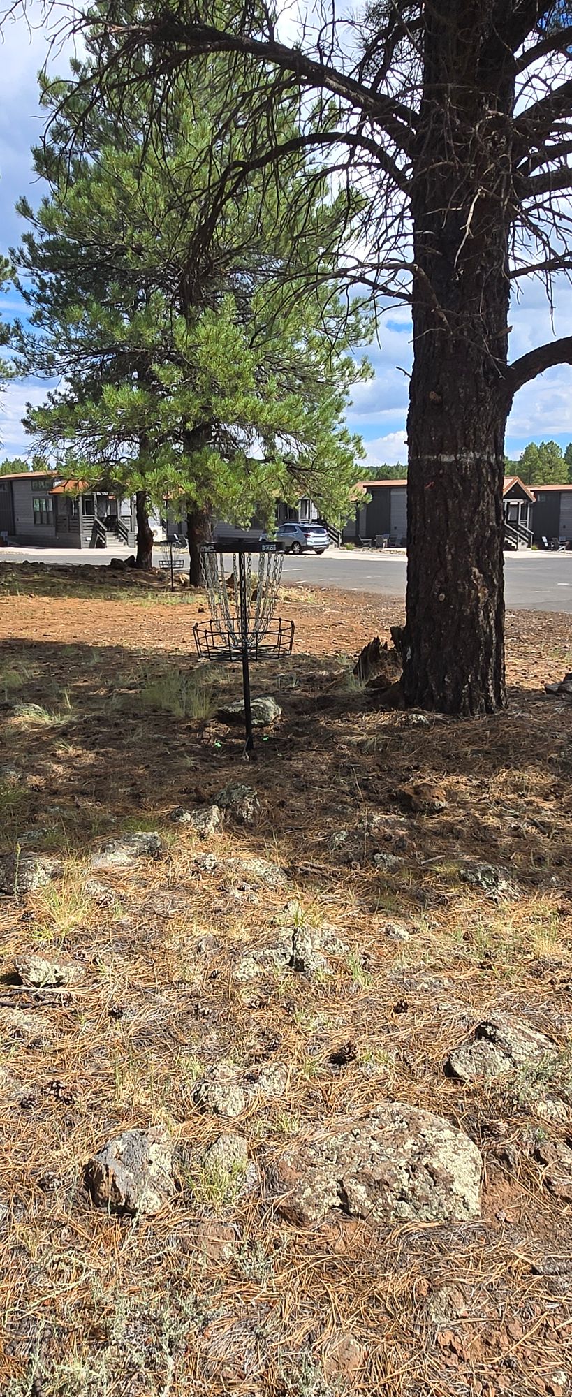 Hole 6