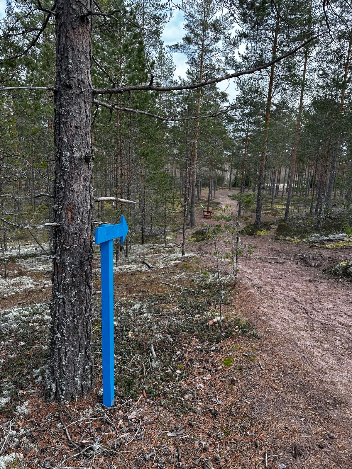 Siirtymäopaste