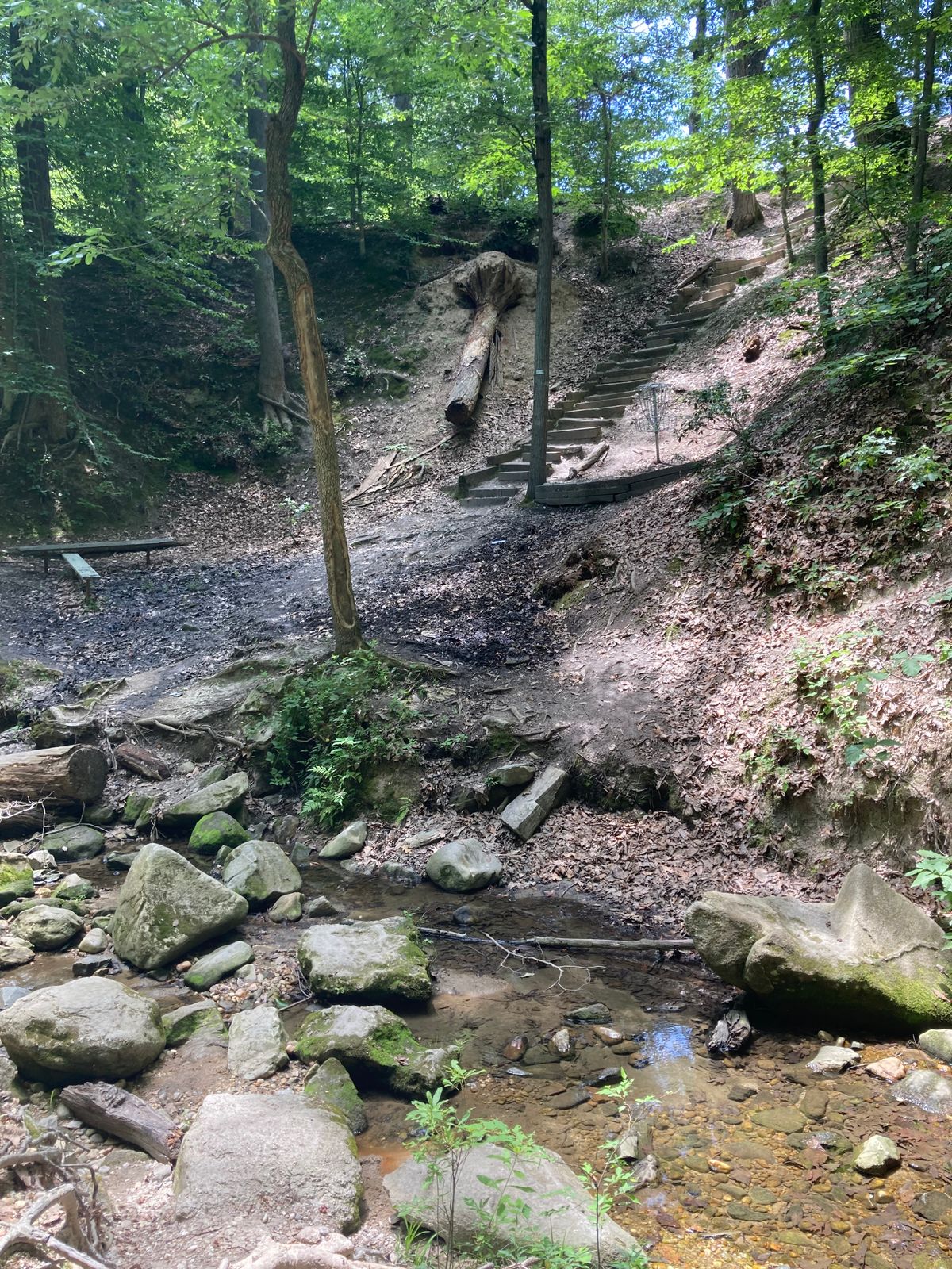 Approach to 18th basket.